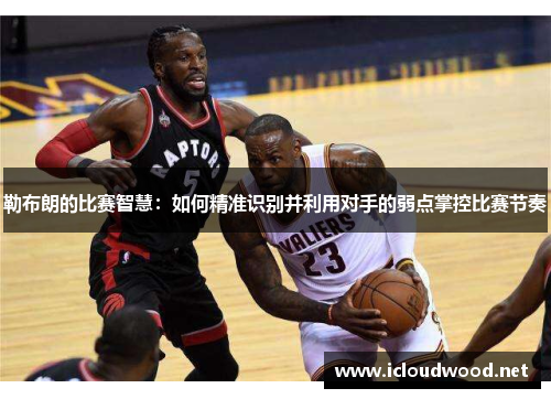 勒布朗的比赛智慧：如何精准识别并利用对手的弱点掌控比赛节奏
