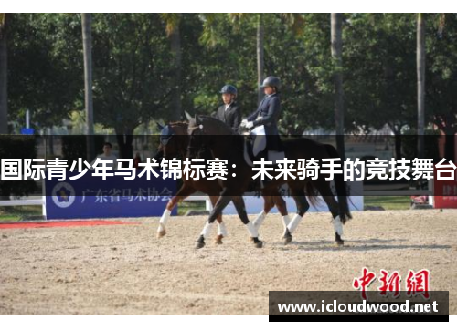 国际青少年马术锦标赛：未来骑手的竞技舞台