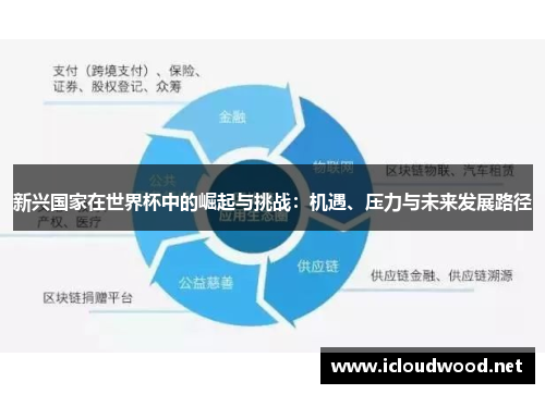 新兴国家在世界杯中的崛起与挑战：机遇、压力与未来发展路径