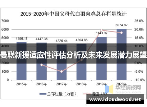 曼联新援适应性评估分析及未来发展潜力展望