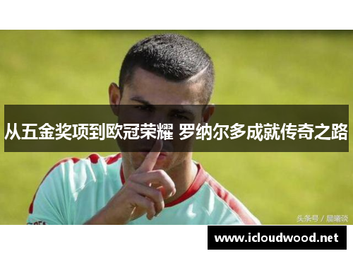 从五金奖项到欧冠荣耀 罗纳尔多成就传奇之路