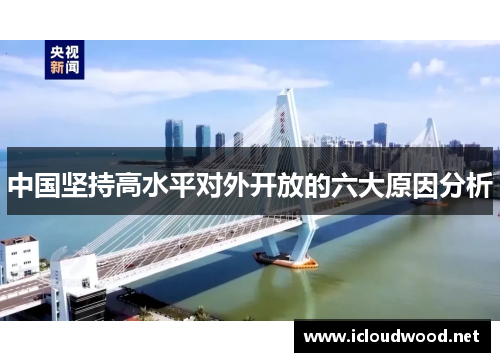 中国坚持高水平对外开放的六大原因分析