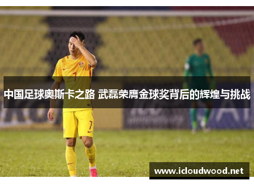 中国足球奥斯卡之路 武磊荣膺金球奖背后的辉煌与挑战