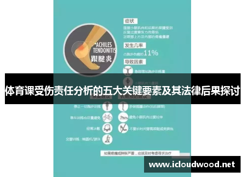 体育课受伤责任分析的五大关键要素及其法律后果探讨