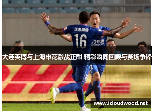 大连英博与上海申花激战正酣 精彩瞬间回顾与赛场争锋