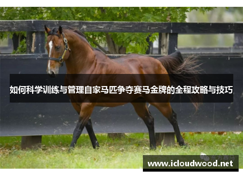 如何科学训练与管理自家马匹争夺赛马金牌的全程攻略与技巧