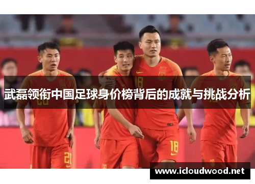 武磊领衔中国足球身价榜背后的成就与挑战分析