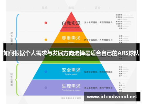 如何根据个人需求与发展方向选择最适合自己的ARS球队