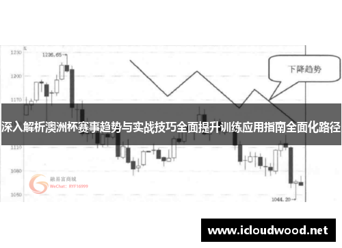 深入解析澳洲杯赛事趋势与实战技巧全面提升训练应用指南全面化路径 深入解析澳洲杯赛事趋势与实战技巧全面提升训练应用指南全面化路径