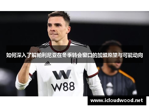 如何深入了解帕利尼亚在冬季转会窗口的加盟愿望与可能动向